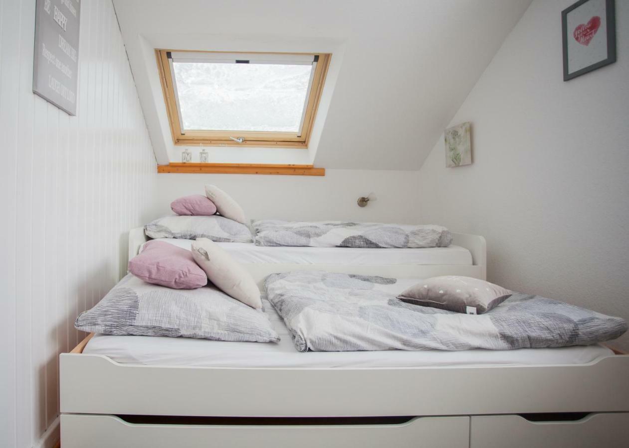 Wohlfuehloase Am Bikepark Und Skigebiet, 2 Schlafzimmer, Abschliessbarer Fahrradkeller Apartment Winterberg Luaran gambar